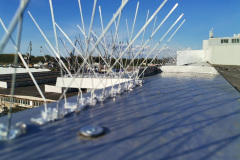 DON-DON_AB_Spike_zastita_od_golubova_02