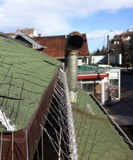 1472808453-1431781739-4