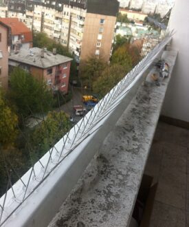 1472818177-1384382200-3